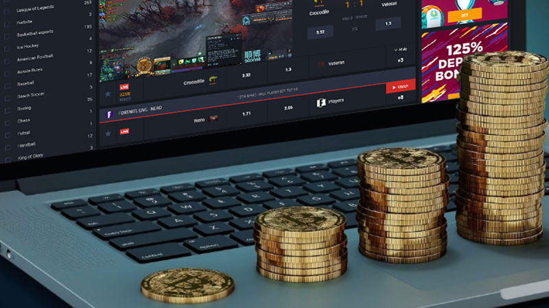 How To Learn bitcoin gambling site