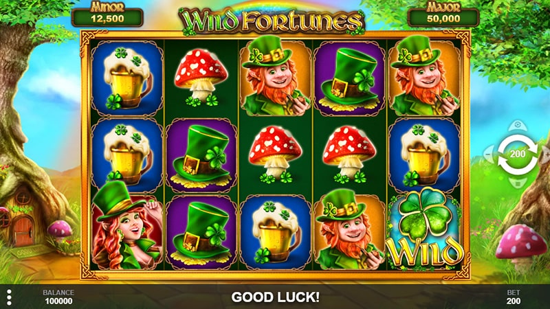 Wild Fortunes Slot