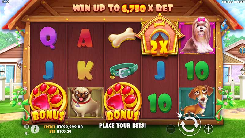 The Dog House Duelbits Slots