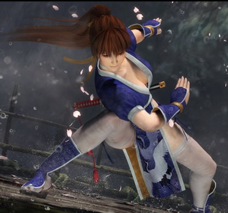 Dead or Alive 5 introduced more realistic and detailed character models, as well as dirt and sweat graphics, tags: tomonobu - CC BY-SA